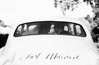 Cipoletti_Wedding_504