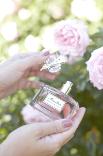 beauty-secrets-blogger-tips