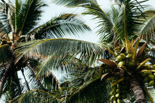 hawaii-island-honeymoon-style