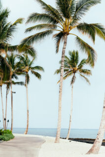 hawaiian-landscape-tropical-oasis